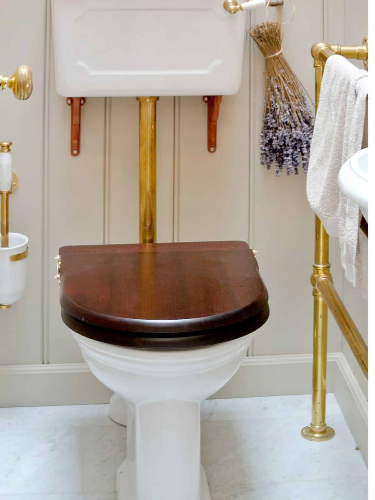 This Is When Toilets Were Invented [History That Will Make You Sound