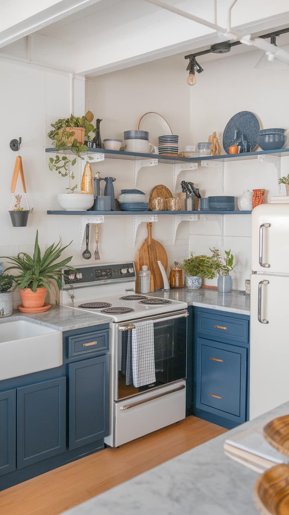 A navy blue kitchen featuring contemporary open shelving with dishes and plants.
