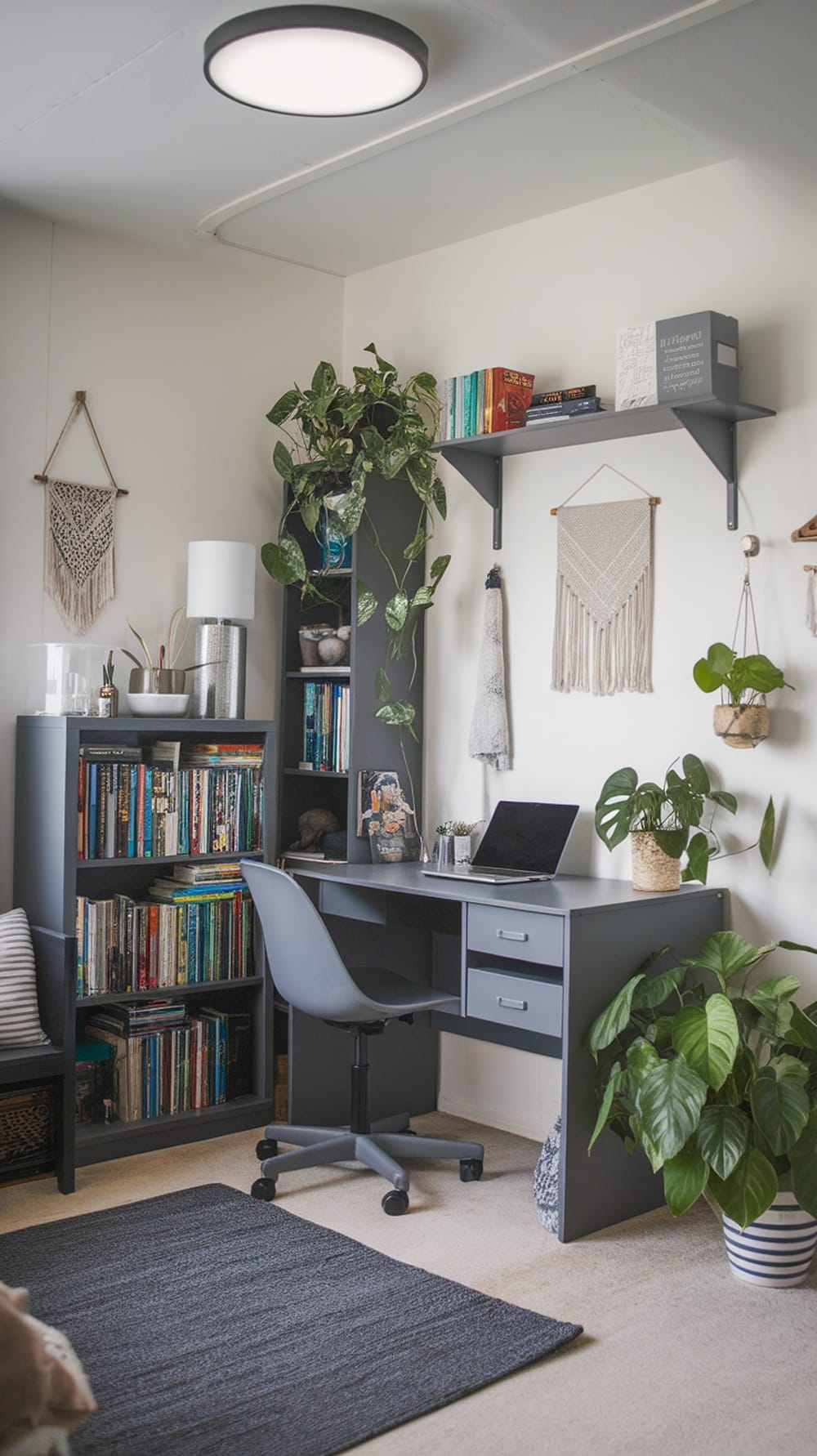 A cozy gray-themed dorm room with a desk, bookshelf, and various plants.